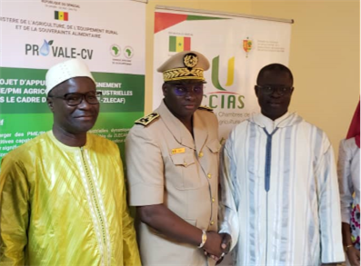 Projet d’Appui et d’Accompagnement aux PME/PMI agricoles et agro-industrielles dans le cadre de la ZLECAF (P2A-ZLECAF).