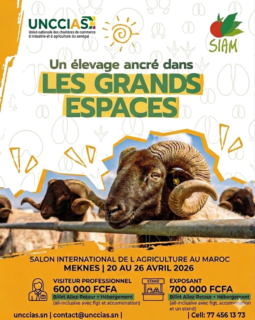 Participation de l’UNCCIAS à la 18ᵉ édition du Salon International de l’Agriculture au Maroc (SIAM) – Meknès 2026